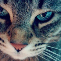 Вова Макаров | Воткинск