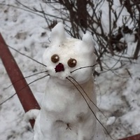 Елена Баскова