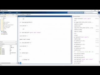 Using Command Window in MatLab Training Video