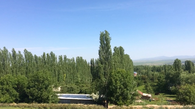 Не деген керемет табигат