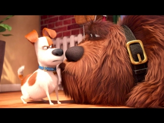 Тайная жизнь домашних животных / The Secret Life of Pets (мультик по ссылке)