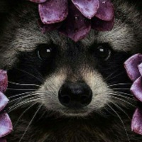 Татьяна Ганцон