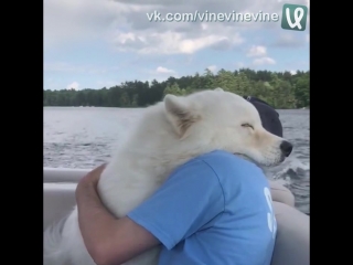 Обнимашки с собакеном