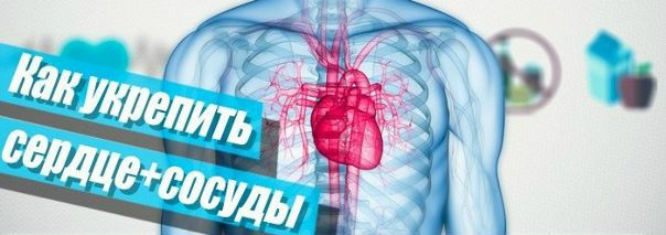Хотите укрепить сосуды Мы подскажем КАК! 