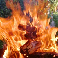 Марина Жаркова | Смоленск