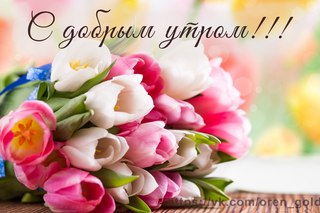 картинки доброе утро и онлайн картинки доброе утро и