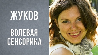 Жуков. Программная функция - Волевая сенсорика. Диагностика по аспектам. Соционика. ВЭФЛ.