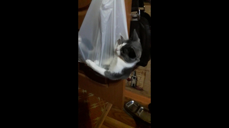 20180409_201528.mp4