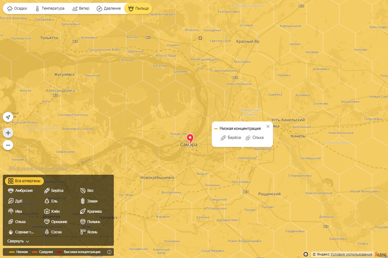 Прогноз пыльцы для аллергиков. Карта пыльцы. Карта пыльцы для аллергиков.