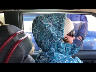 Дрессировка собак в Самаре. Охрана салона автомобиля...