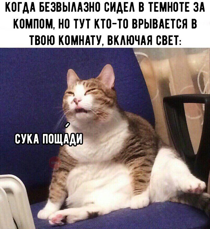 xzA7nbH8ASQ.jpg
