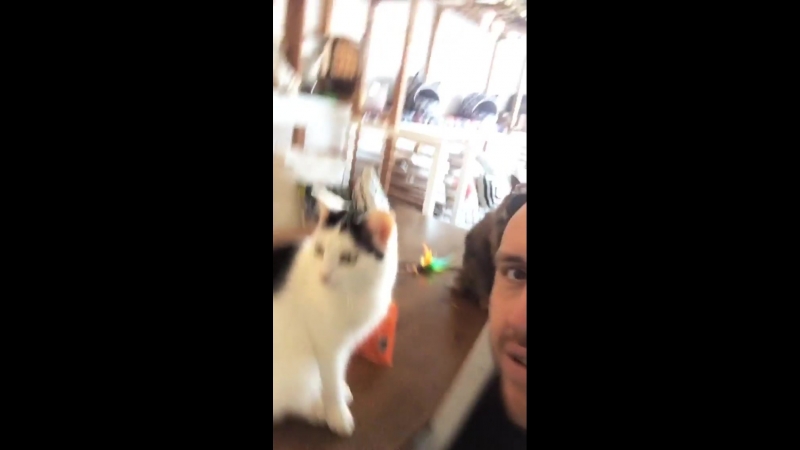 Котокафе_Котейная_в_Уфе