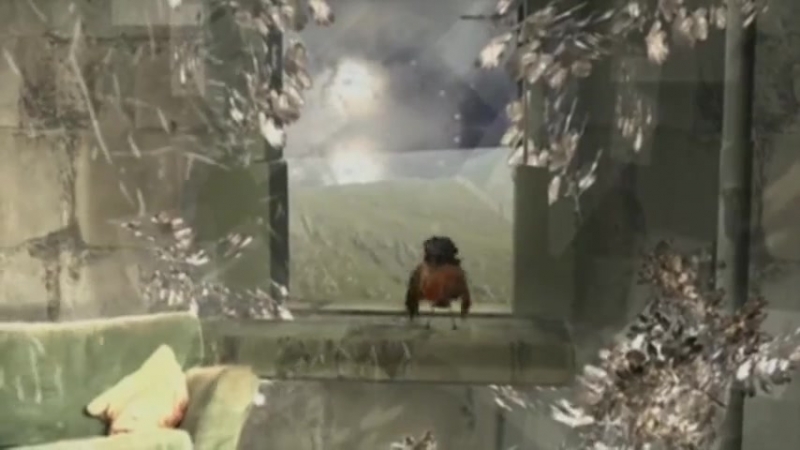 Coldplay - Trouble