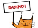 Объявление от Дарья - фото №1