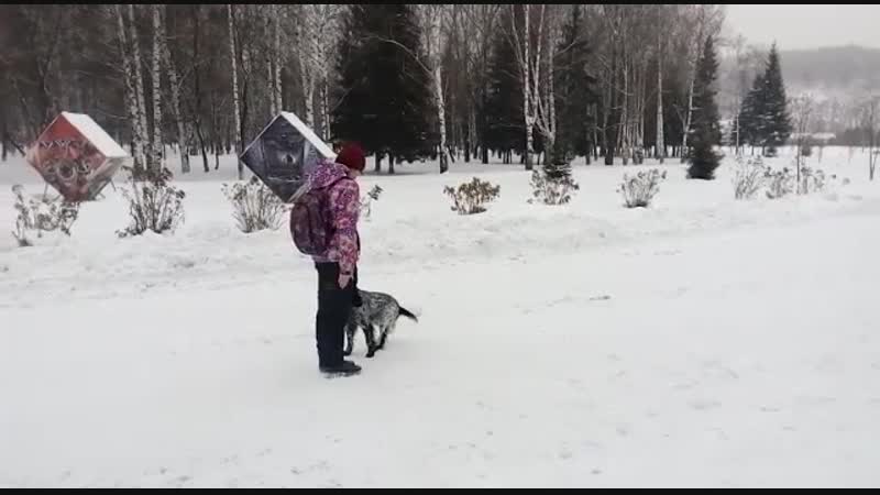 Пава ко мне жестом