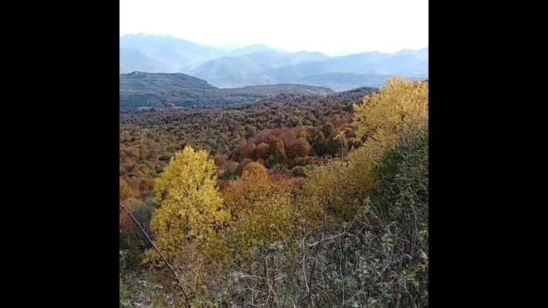 VID_25261116_160345_994.mp4