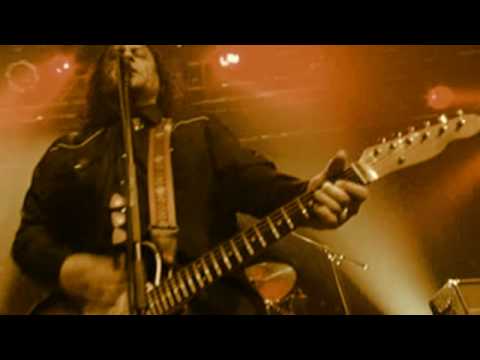 Tito Tarantula - Angry Cockroaches