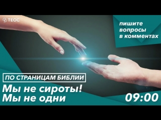 Мы не сироты! Мы не одни