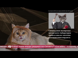 News Mews #1.99. Reels, загадка и логотип выборов