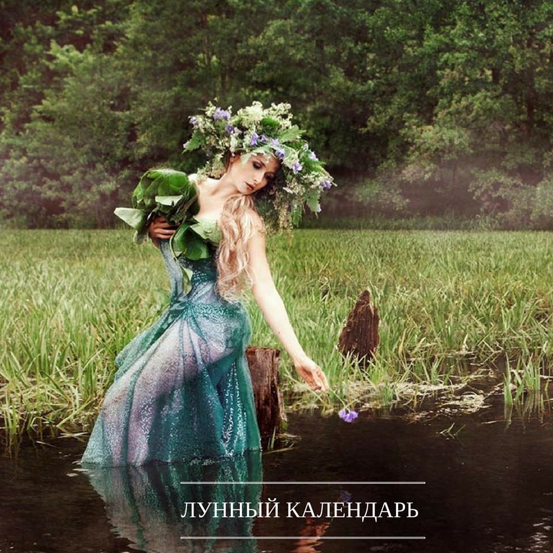 Оберегать как зеницу ока Оберегать как зеницу ока