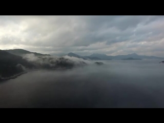 Yuki Murata - red owl (official music video)