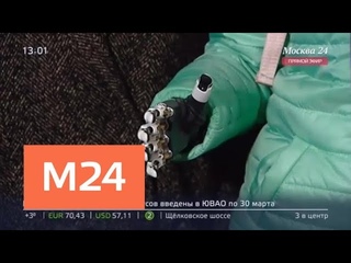 Искалеченная мужем-ревнивцем Маргарита Грачева показала новый протез кисти - Москва 24