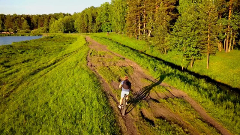 Вялки