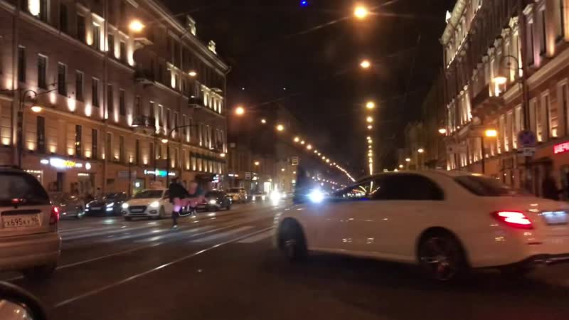 Ленинград (Лиса в Питере)