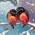 КАК ВЫВЕСТИ КЛОПОВ, ПОСЕЛИВШИХСЯ В ДОМЕ, Home, Sweet Home КАК ВЫВЕСТИ КЛОПОВ, ПОСЕЛИВШИХСЯ В ДОМЕ, Home, Sweet Home