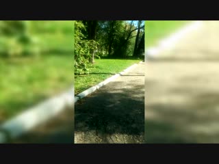 Стрельба в политехническом колледже в Керчи