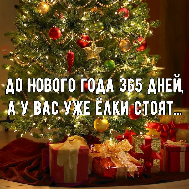 Прикол До Нового Года Осталось 365 Дней
