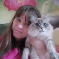 Анна Казарина | Кострома