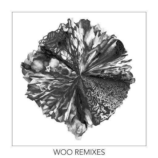 Monkey Safari альбом Woo Remixes EP