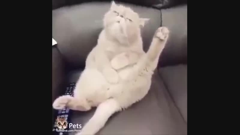 VID_154061123_072557_170.mp4