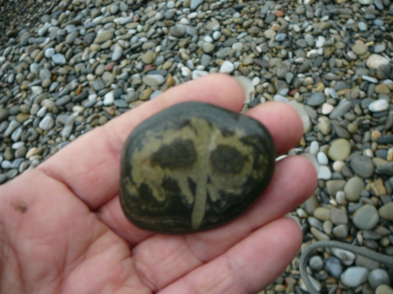 https://pp.userapi.com/c830309/v830309896/677b8/tnnCLwyfnYY.jpg