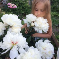 Светлана Нечаева