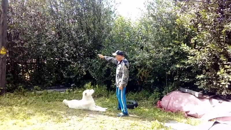 Выполнение команд
