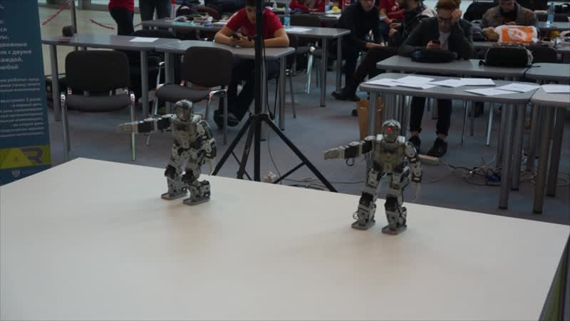 Programmable humanoid robots