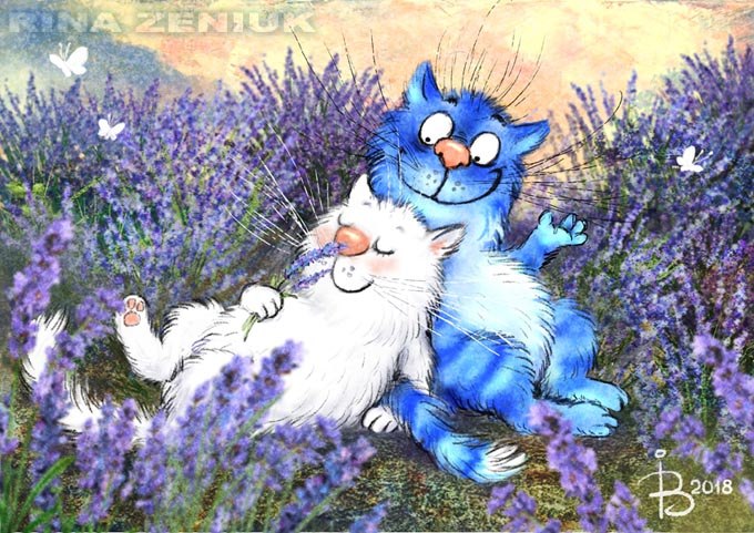 Кафе "У пани Сони"