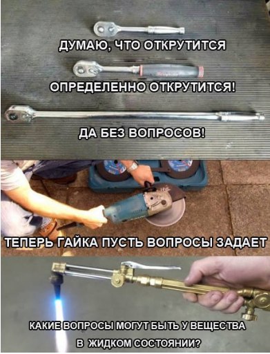 веселые картинки