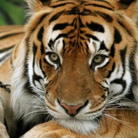 Наталья Хохлова | Донецк