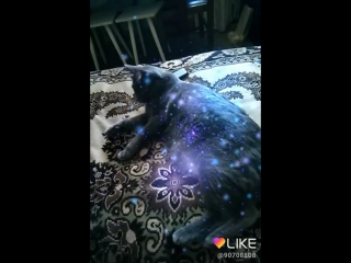 Like_2018-06-11-13-27-22.mp4