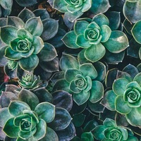 Юлия Бекаури