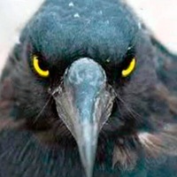 Тимур Иванов | Amsterdam