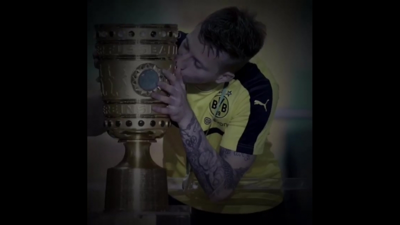 Reus bartra vine