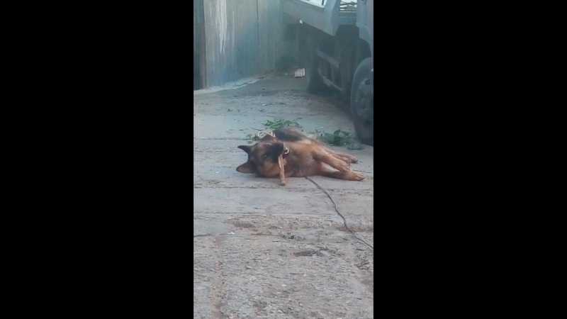 V80524-201403.mp4