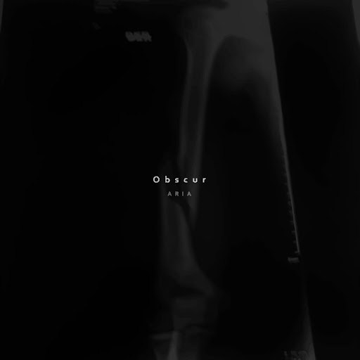 ARIA альбом Obscur
