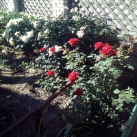 Дина Маринина | Оренбург