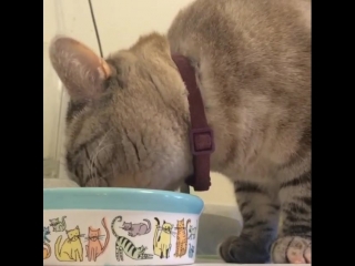 Секс - это, конечно, круто, но у вас когда-либо отменялась встреча, на которую вы изначально не хотели идти.