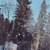Фото пользователя Екатерина